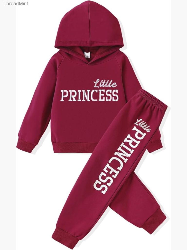 Toddler Girl 2 Piece Sweatsuit Set Long Sleeve Hoodie Pull On Pants